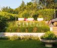 Kugelleuchten Garten solar Elegant Enea Gmbhgarten Privat — Enea Gmbh
