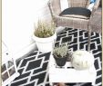 Kunstrasen Für Den Garten Luxus Balkon Teppich Ideen