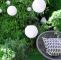 Led Lampions Garten Genial Einfache Diy Idee Für Deinen Garten Oder Balkon