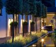 Leuchtkugeln Garten Das Beste Von Pin Von Laluce Licht&design Chur La Luce Auf Royal