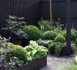 Liegen Für Garten Neu Zimmerpflanzen Groß Modern — Temobardz Home Blog