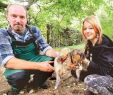 Löcher Im Garten Ratten Frisch Botanischer Garten In Oldenburg Kampf Gegen Rattenplage