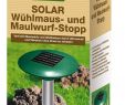 Marderschreck Garten Reizend solar Wühlmaus Und Maulwurf Stopp