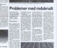 Mäuseplage Im Garten Reizend Consulta Typefacets "newspaper or Magazine Article