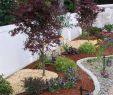 Mediterranen Garten Anlegen Elegant 75 Brilliant Backyard Landscaping Design Ideas 67
