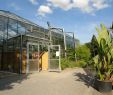 Mediterranen Garten Anlegen Genial Botanischer Garten Chemnitz –