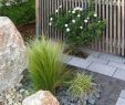Mein Garten Dein Garten Luxus Garten Gestalten Ideen — Temobardz Home Blog