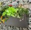 Mein Schöner Garten Fotos Einzigartig Hashtag Pflanzbehälter Na Twitteru