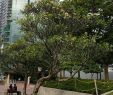 Menara Garten Frisch Pin by Elen On Malaysia Truly asia