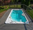Mini Pool Im Garten Neu Swim Spas