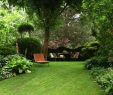 Minigolf Großer Garten Inspirierend Moderne Gartengestaltung Mit Pflanzen