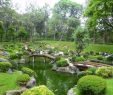 Minigolf Großer Garten Luxus 1001 Ideen Für Garten Gestalten Mit Wenig Geld