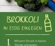 Mischkultur Im Garten Neu Brokkoli Ernten ð Brokkoli Pflanzen Anleitung In Einfachen