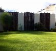 Moderner Garten Sichtschutz Luxus Sichtschutz Pflanzen Terrasse — Temobardz Home Blog