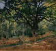 Monet Garten Inspirierend the Bodmer Oak Fontainebleau forest Claude Monet French