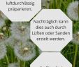 Natron Im Garten Das Beste Von Unkraut Im Rasen Unkrautvernichter & Alternativen