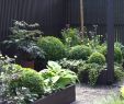Natur Garten Einzigartig Kleinen Vorgarten Gestalten — Temobardz Home Blog