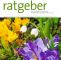 Naturnaher Garten Pflegeleicht Anlegen Das Beste Von Der Praktische Gartenratgeber 3 2019 Pages 1 14 Text