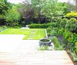 Naturnaher Garten Pflegeleicht Anlegen Luxus Hang Gestalten Pflegeleicht — Temobardz Home Blog