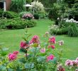 Neuer Garten Potsdam Das Beste Von Garten Und Landschaftsarchitekt — Temobardz Home Blog