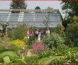 Neuer Garten Potsdam Inspirierend Garten Und Landschaftsarchitekt — Temobardz Home Blog