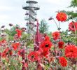 Park Der Gärten Bad Zwischenahn Reizend „park Der Gärten” Voll Aufgeblüht In Bad Zwischenahn