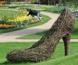 Park Der Gärten In Bad Zwischenahn Luxus Frühlingsstart Im Park Der Gärten In Bad Zwischenahn