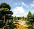 Park Der Gärten In Bad Zwischenahn Neu 8 Best Tagestour Nach Bad Zwischenahn