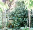 Permakultur Garten Anlegen Luxus Die 225 Besten Bilder Von Gemüsegarten Und Ernteliebelei