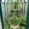 Permakultur Garten Planen Frisch Gewächshaus Frisch Bepflanzt Mit tomaten Und Vereldelten