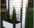 Pflanzkübel Garten Elegant Pflanzen Als Sichtschutz Im Kübel — Temobardz Home Blog