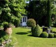 Pflegeleichte Gärten Beispiele Luxus Gartengestaltung Großer Garten — Temobardz Home Blog