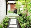Pflegeleichte Gärten Beispiele Luxus Großen Garten Gestalten — Temobardz Home Blog