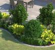 Pflegeleichte Gärten Gestalten Ideen Tipps Und Pflanzpläne Einzigartig Die Besten 25 Garten Gestalten Ideen Auf Pinterest