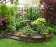 Pflegeleichte Gärten Gestalten Ideen Tipps Und Pflanzpläne Einzigartig Gartengestaltung Tipps Wie Sie Licht Und Schatten Im