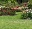 Pflegeleichte Gärten Gestalten Ideen Tipps Und Pflanzpläne Neu Rosenbeet Gestalten Traumhaft Schöne Ideen Für Den Garten