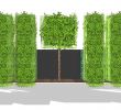 Pflegeleichte Gärten Reizend Zimmerpflanzen Groß Modern — Temobardz Home Blog