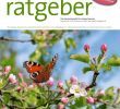 Pflegeleichter Garten Ohne Rasen Frisch Der Praktische Gartenratgeber 5 2019 Pages 1 18 Text
