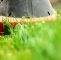 Pflegeleichter Garten Ohne Rasen Reizend Wässern Vertikutieren Säen Düngen Und Kalken Fünf Tipps Zur Rasenpflege