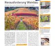 Pflegeleichter Garten Senioren Elegant Fenblatt 39 2013 by Fenburg Fenblatt issuu