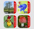 Pilze Im Garten Bestimmen Das Beste Von Apps Von Mullen & Pohland Gbr Im App Store
