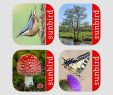 Pilze Im Garten Bestimmen Inspirierend Apps Von Mullen & Pohland Gbr Im App Store