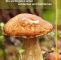 Pilze Im Garten Bestimmen Inspirierend Pilze Die Wichtigsten Arten Entdecken Und Bestimmen Gu Naturtitel
