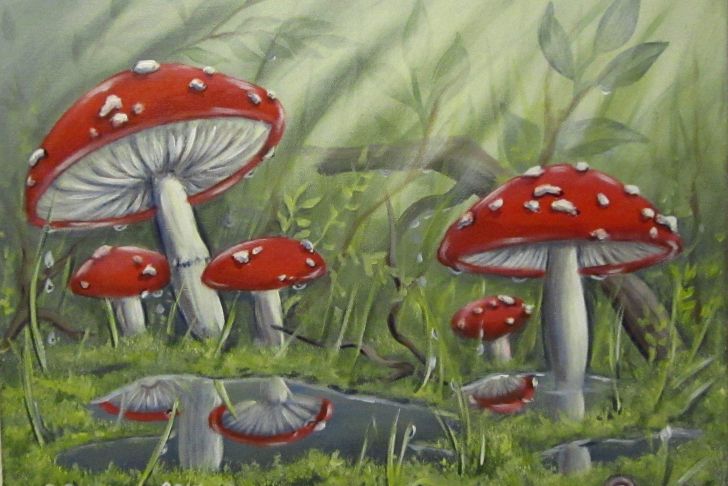 Pilze Im Garten Bilder Genial Acrylgemälde &quot;fliegenpilze Nach Dem Regen&quot; Kunst Wandbild