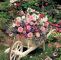 Pinterest Garten Elegant Pin Von Bªtenabª Auf Deine „gefällt Mir“ Angaben Bei
