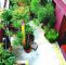Pinterest Garten Inspirierend Best Narrow Garden Ideas Pinterest Side Small Gardens and