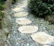 Platten Verlegen Im Garten Das Beste Von Gartenwege Anlegen – Ideen Für Das Verlegen Der Trittsteine