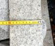 Platten Verlegen Im Garten Frisch Hornbach Granitplatten ð± Natursteinplatten Kaufen Bei New