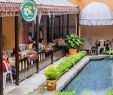 Pool Im Garten Integrieren Genial Sprachschule Universidad Internacional Cuernavaca Mexiko
