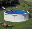 Pool Im Garten Reizend Stahlwandbecken Set Eco  300 X 120cm Rund